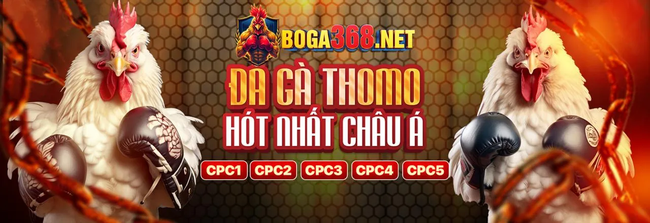 Dịch vụ chăm sóc khách hàng 24/7