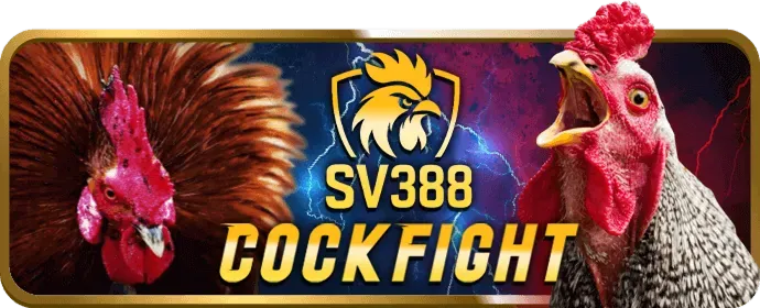 Cá cược bóng đá vf55
