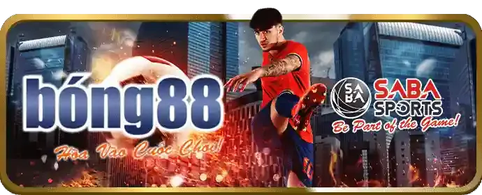 Đa dạng môn thể thao khác tại VF55